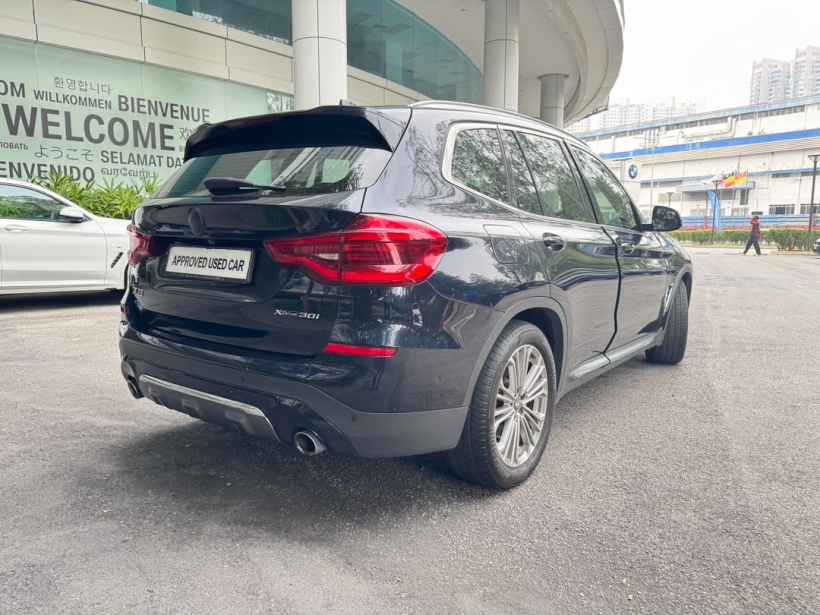 BMW X3 G01 Wagon 5dr xDrive30i Luxury Steptronic 8sp AWD 2.0DiTsc